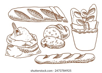 Bread vector hand drawn set illustration. Other types of wheat, flour fresh bread. Gluten food bakery engraved collection. Black bake organic food isolated on white background.