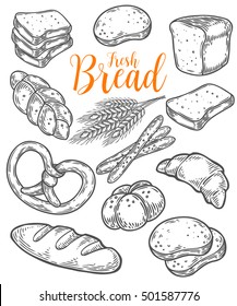 Bread vector hand drawn set illustration. Other types of wheat, flour fresh bread. Gluten food bakery bread engraved collection. Black bake organic food isolated on white background.