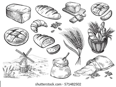 Bread vector hand drawn set illustration in graphic style