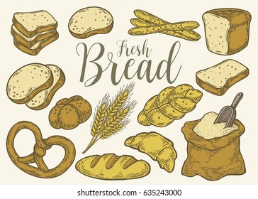 Bread vector hand drawn set engraving illustration. Other types of wheat, flour fresh bread. Gluten food bakery bread engraved collection. Colorful bake organic food isolated on white background.