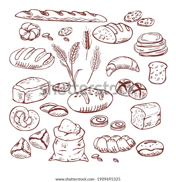 43,950 Buns Drawing Images, Stock Photos & Vectors | Shutterstock