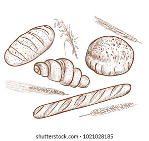  bread vector illustration. bread bakery products. Bread sketch illustration. Vintage