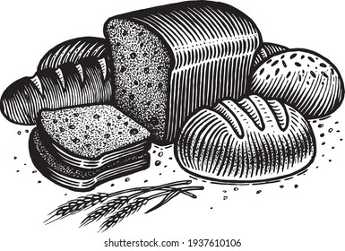 Bread, vector illustration. Vintage graphics and handwork. The rye bread, sliced, loaf, spikelets and grains, round bread, sprinkled with flour and bran. A collection of farm products.