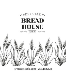 Bread vintage design template. Wheat, barley drawing. Farm field illustration. Vector illustration