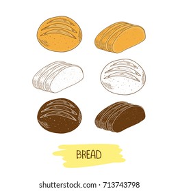 Bread. Whole bread and pieces. Sketch, set. Color pattern, monophonic.