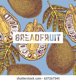 Breadfruit background. Tropical  hand drawn illustration. Engraved botanical sketch. Jack fruit  seamless pattern.