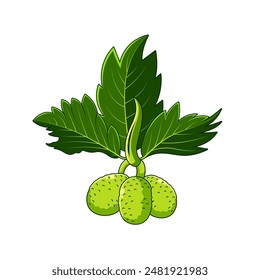 Dibujos animados de la fruta del pan, ilustración de arte digital