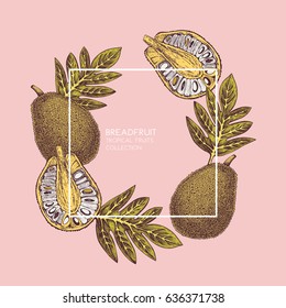 Breadfruit hand drawn illustration. Engraved botanical sketch. Vintage jack fruit design. Tropical plant frame. Wedding template