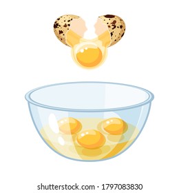 Break quail spotted shell egg and pour into a bowl. Vector illustration flat icon isolated on white background.