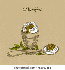Breakfast with boiled egg. Cup and spoon. Engraving style. Vector illustration.