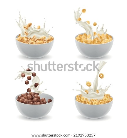Breakfast cereal plates realistic set with different tastes isolated vector illustration