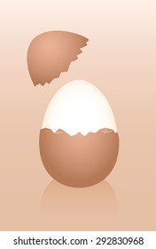 Breakfast Egg With Cracked Half Peeled Brown Shell And Hard Boiled Egg White. Three-dimensional Isolated Vector Illustration On Gradient Brown Background.