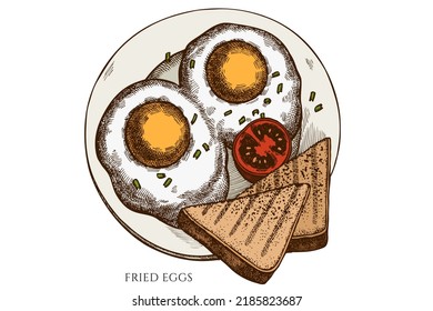 Colección de ilustraciones vectoriales de desayuno. Huevos fritos de colores.