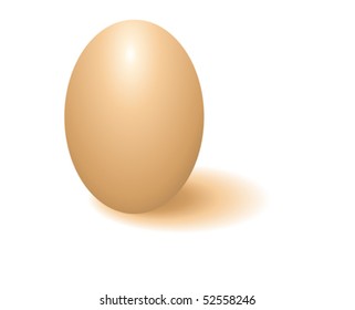 breakfast. Yellow and white eggs. Cracked eggs. Chicken eggs