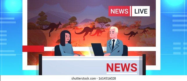 Breaking News Reporters Live Brodcasting Kangaroo Running From Forest Fires In Australia Bush Fire Global Warming Natural Disaster Concept TV Studio Interior Portrait Horizontal Vector Illustration