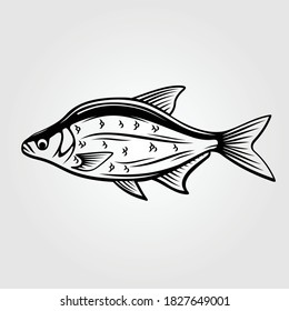 Bream fish icon isolated on white background. Vector illustration.