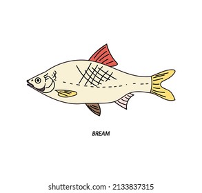 Brotfisch einzeln auf Cartoon, Vektorgrafik