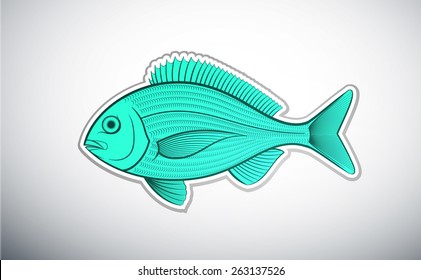 bream fish outline color vector illustration