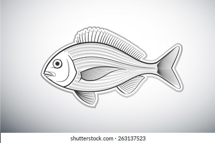 bream fish outline vector illustration