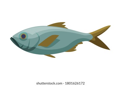 Bream Freshwater Fish, Fresh Aquatic Fish Species Cartoon Vector Illustration