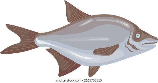 Bream icon. Cartoon silver fish. Fishing catch isolated on white background