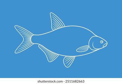 Bream outline. Isolated bream on white background