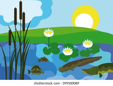 Bream, pike, catfish, carp, water lilies, reed in freshwater reservoirs.