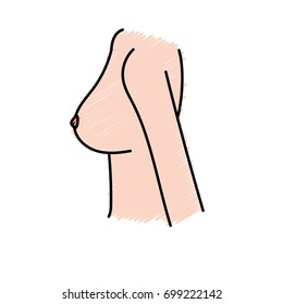 breast cancer prevention to medical treatment