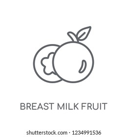 Breast milk fruit linear icon. Modern outline Breast milk fruit logo concept on white background from Fruits and vegetables collection. Suitable for use on web apps, mobile apps and print media.
