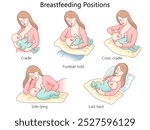 breastfeeding positions, including cradle, football hold, cross-cradle, side-lying, and laid back, for nursing mothers diagram hand drawn vector illustration. Medical science educational illustration