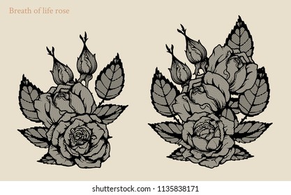 Breath of life rose vector set by hand drawing.Beautiful flower lace on white background.Rose lace art highly detailed in line art style.Breath of life rose for wallpaper