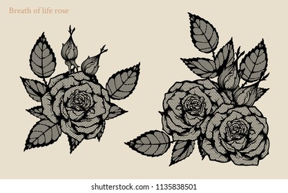 Breath of life rose vector set by hand drawing.Beautiful flower lace on white background.Rose lace art highly detailed in line art style.Breath of life rose for wallpaper