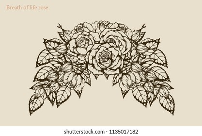 Breath of life vector rose by hand drawing.Beautiful flower on vintage background.Rose art highly detailed in line art style.Breath of life rose for wallpaper.