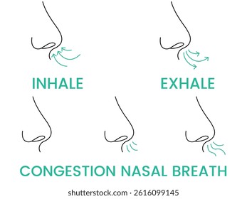 breathing exercise, inhale, exhale, Congestion nasal breath, respiratory problem, vector, illustration, customizable stroke