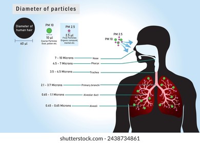 Breathing unhealthy levels of pollution from fine particulates (PM2.5) can increase the risk of health problems like heart disease, asthma, and low birth weight.