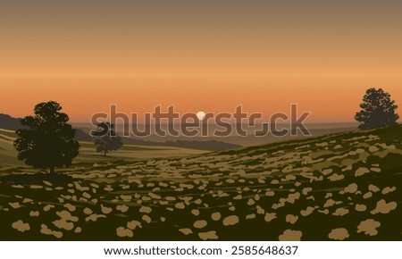 Breathtaking flower field sunset landscape