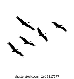 A breathtaking image of five cranes in flight, their silhouettes sharply defined against a pure white backdrop. 