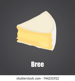 Bree cheese slice color flat icon
