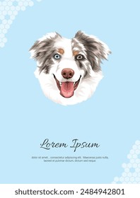 Breed Australian Shepherd Vector wall decoration ideas. realistic animal images. Hand drawn dog isolated on light gray background. for room decoration, events, etc