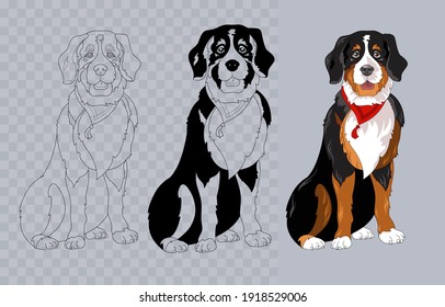 Breed Bernese mountain dog with bandana. Colorful and linear. Vector.