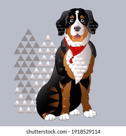 Breed Bernese mountain dog with bandana. Pet colorful portrait. Vector.