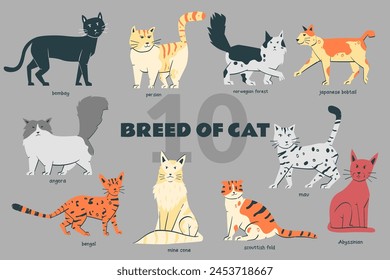 Breed of Cat set handdrawn doodle illustration with various pose
