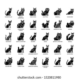 Breed Cat1 , Thin Line and Pixel Perfect Icons