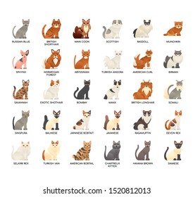 Breed Cat1 , Thin Line and Pixel Perfect Icons