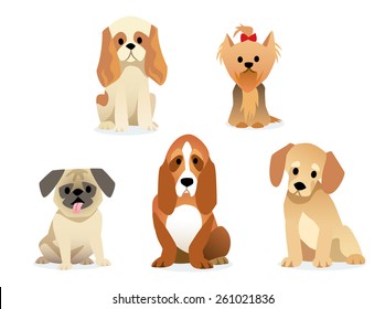 breed of dog