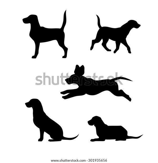 犬のビーグルのベクター画像アイコンとシルエット 異なるポーズのイラストのセット のベクター画像素材 ロイヤリティフリー