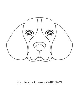 Breed dog beagle..Muzzle beagle single icon in outline style vector symbol stock illustration web.