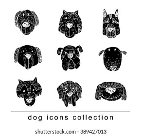 Breed dog collection icon, vector.