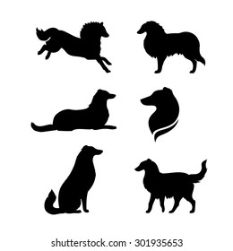 Breed of a dog collie vector icons and silhouettes. Set of illustrations in different poses.