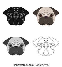 Breed of a dog, a pug.Pug's muzzle single icon in cartoon style vector symbol stock illustration web.